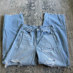 American Eagle Outfitters Light Blue Skater Jeans